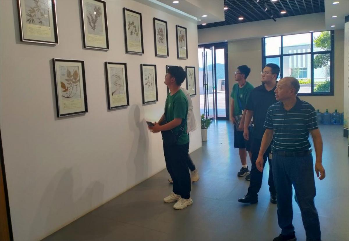 何经理引导团队成员参观欣中医药标本展厅（365游戏中心官网地址 供图）(1)